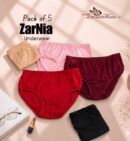 PACK OF 5 BASIC UNDERWEAR
